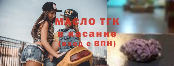 амф Дмитриев