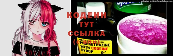 мдпв Ельня