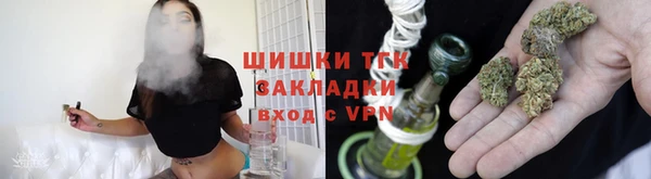 амф Дмитриев