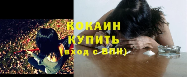 амф Дмитриев