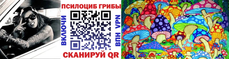 купить  цена  Энгельс  Галлюциногенные грибы ЛСД 